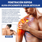 💥 Parche Natural para Aliviar Molestias Musculares y Articulares <br> 🩹 Más comodidad para espalda, cuello, rodillas y articulaciones <br> <span style="color:#dc2626;font-weight:900;">🔥 OFERTA ESPECIAL: 25% DE DESCUENTO</span>